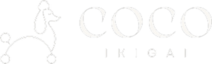 Coco İkigai – horizontales Logo in Hell